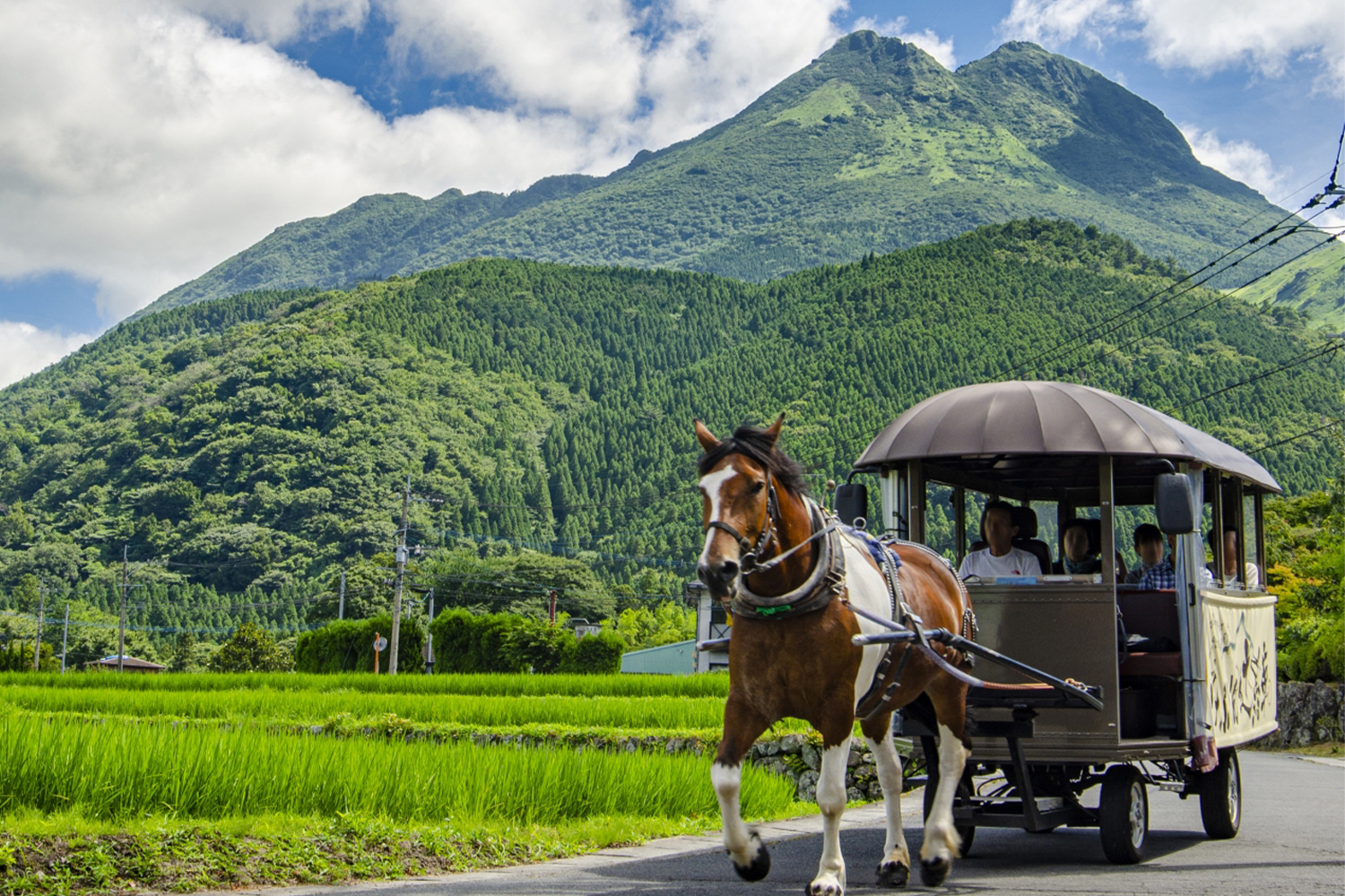 辻馬車